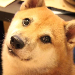塗元龍